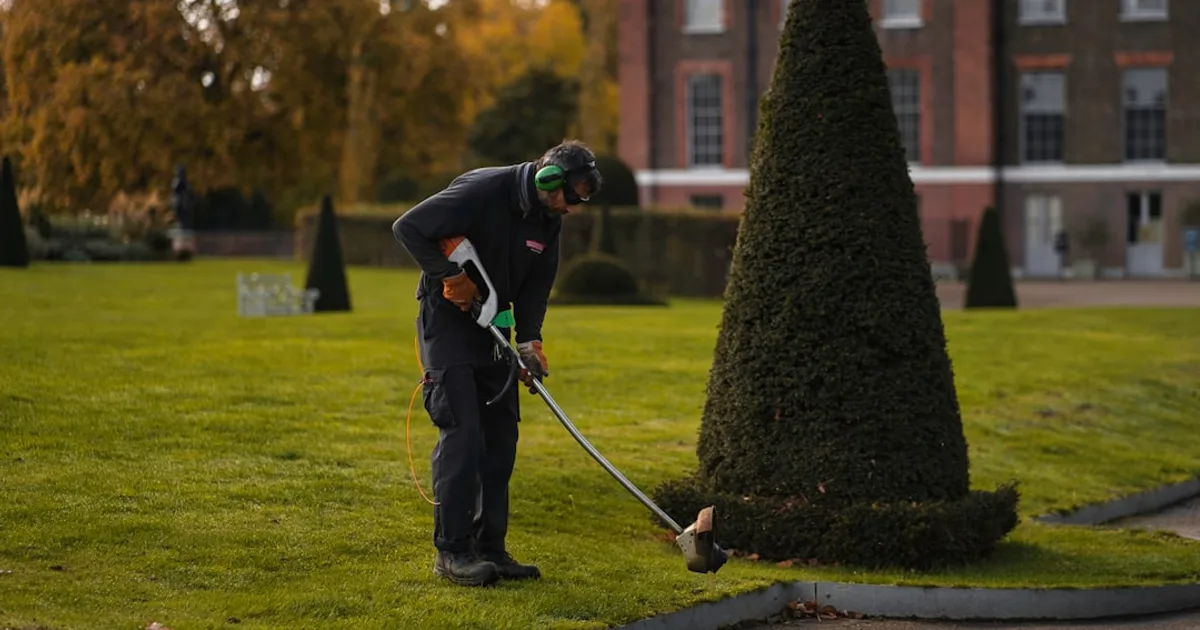 Entretien de jardin professionnel : prix et services