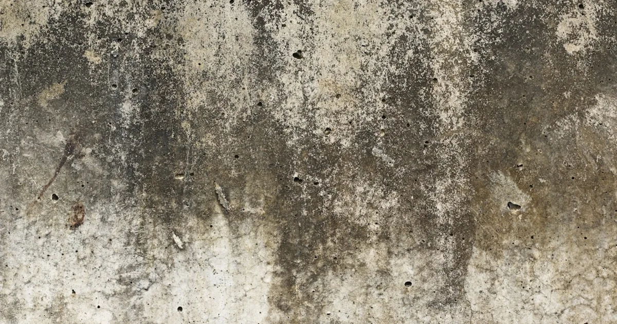 Humidité dans les murs : causes, solutions et prix